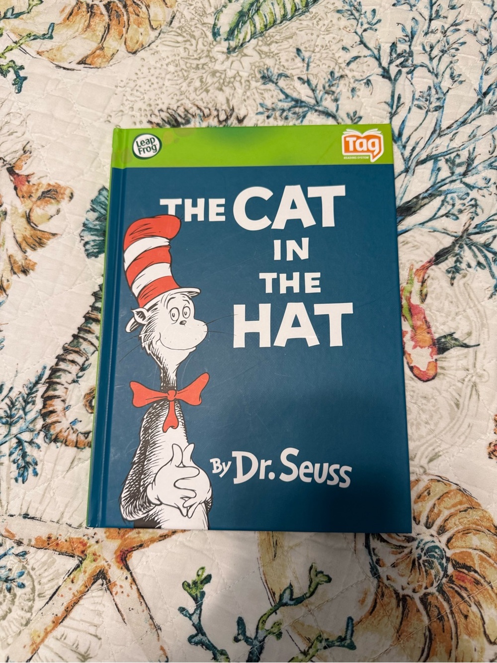 Dr. Seuss The Cat in the Hat Kids Book